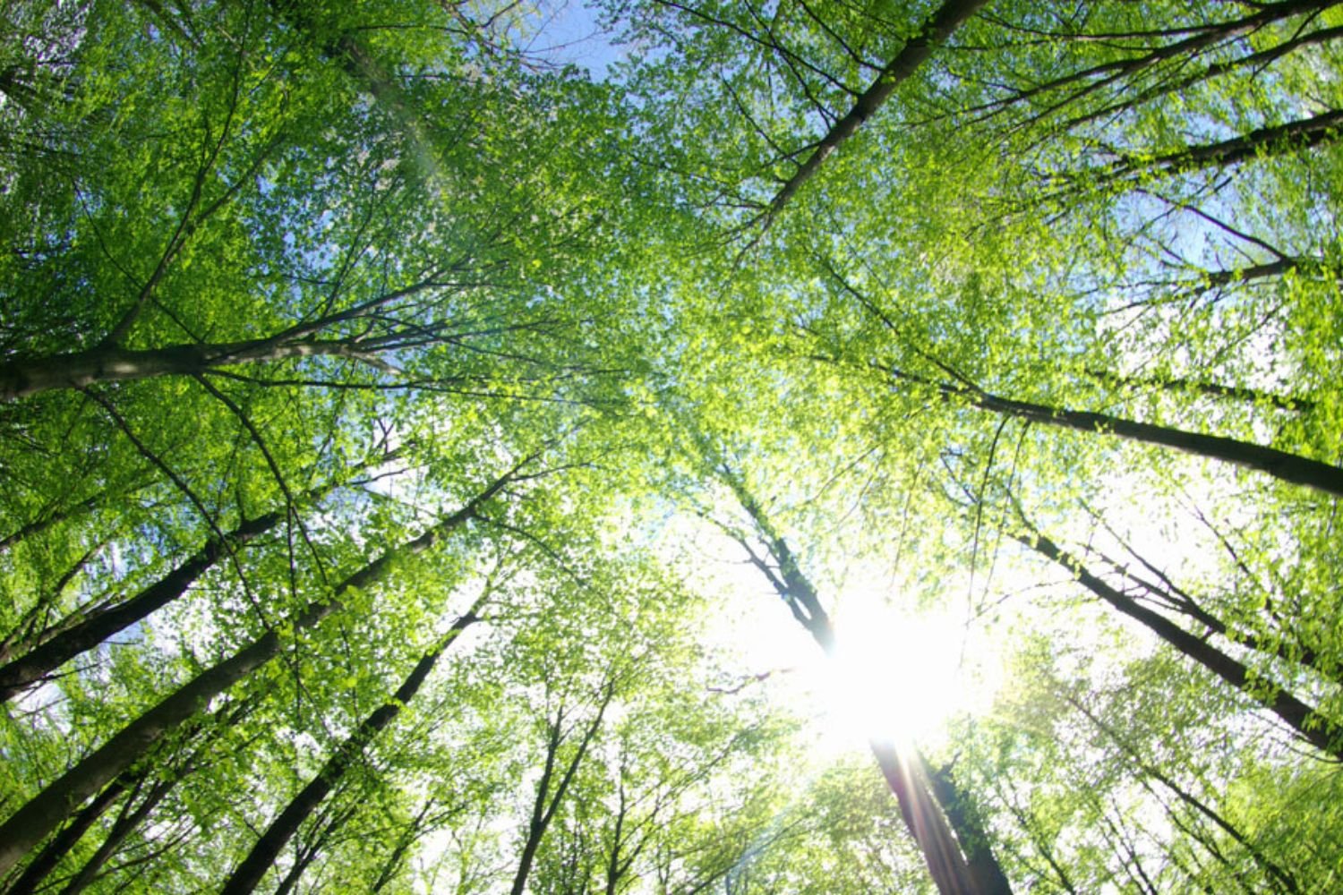 L’Université Hudson Bay s’engage !